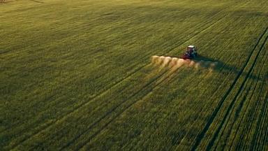 Farm tractor spraying plants in the field. Russia Pskov region. Sun rays on horizon